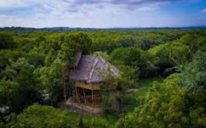 Mermaid Cabana And Tree Houses Tangalle Exterior photo