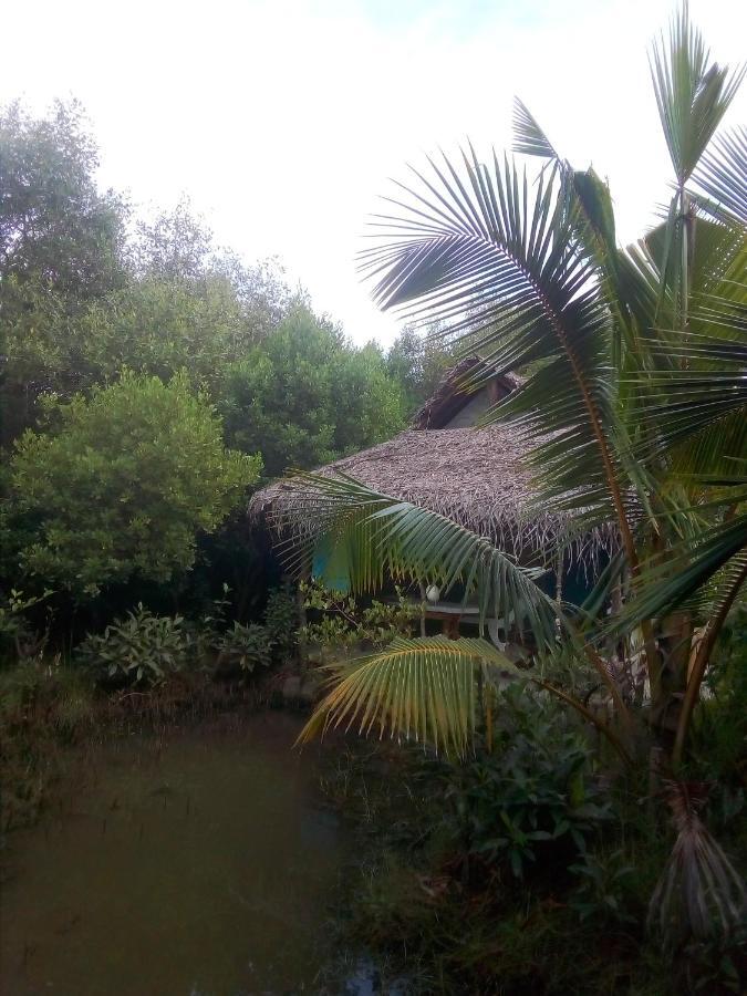 Mermaid Cabana And Tree Houses Tangalle Exterior photo